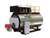 WNSL Oil Gas Fired Boiler